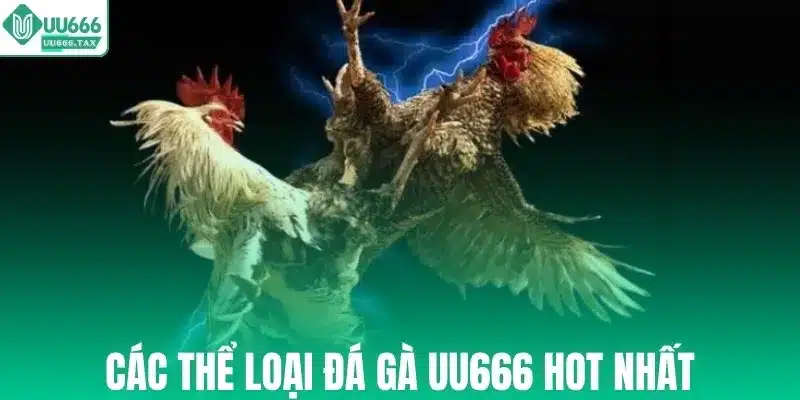 Các thể loại đá gà UU666 hot nhất